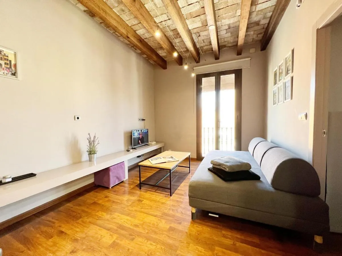 Apartment Suite Gracia Barcelona